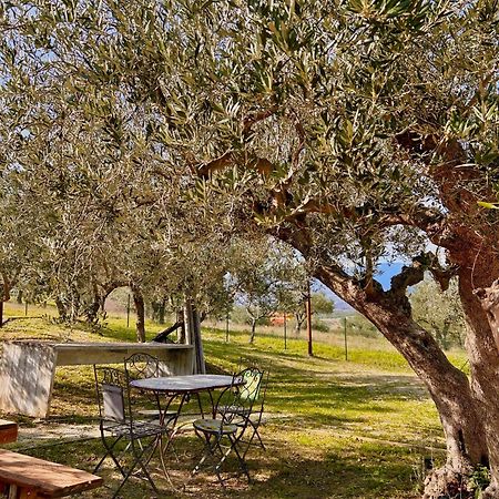 Oasi Macerina Βίλα Alanno Εξωτερικό φωτογραφία