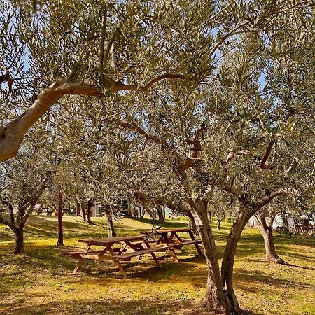 Oasi Macerina Βίλα Alanno Εξωτερικό φωτογραφία