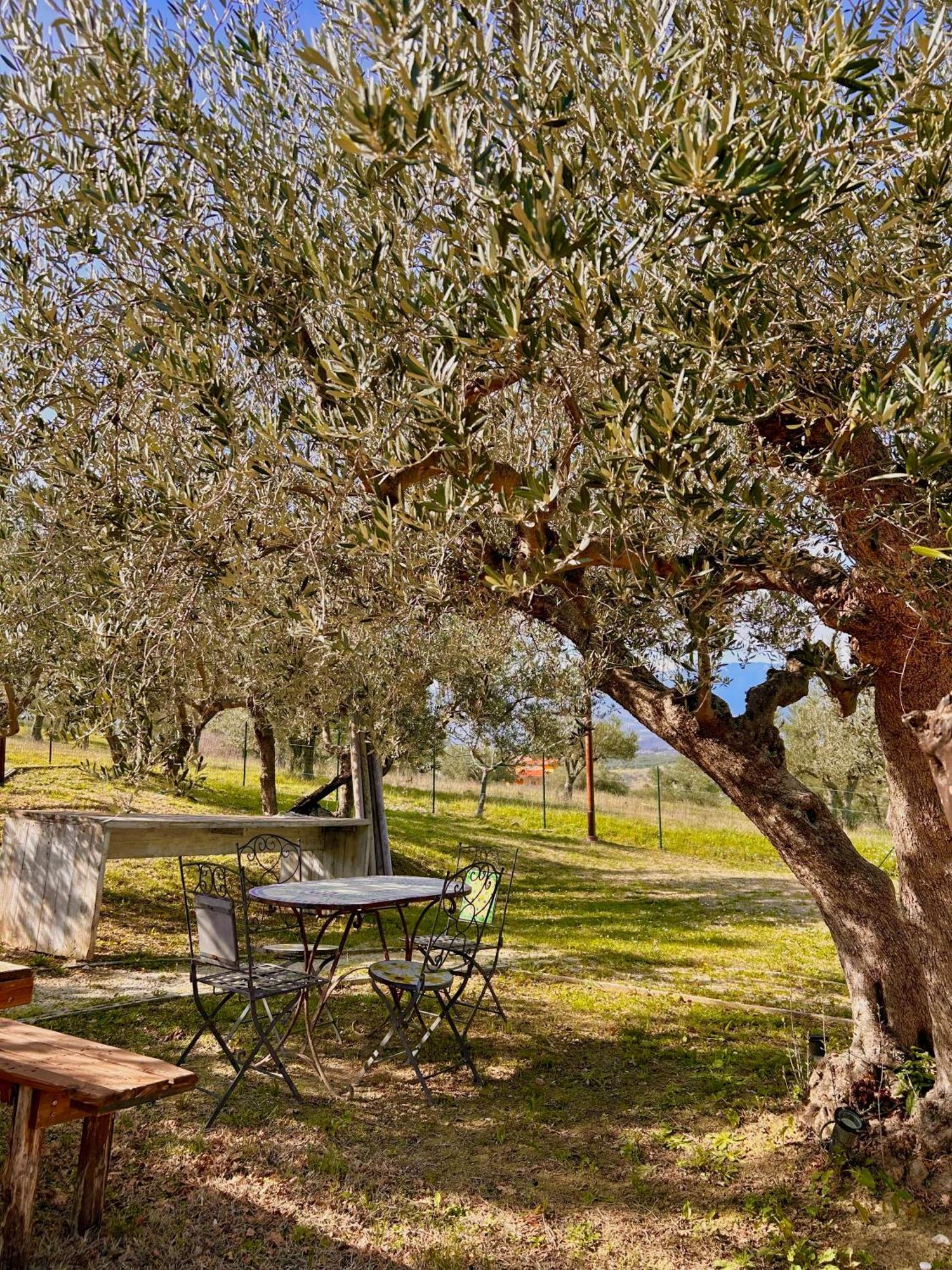 Oasi Macerina Βίλα Alanno Εξωτερικό φωτογραφία