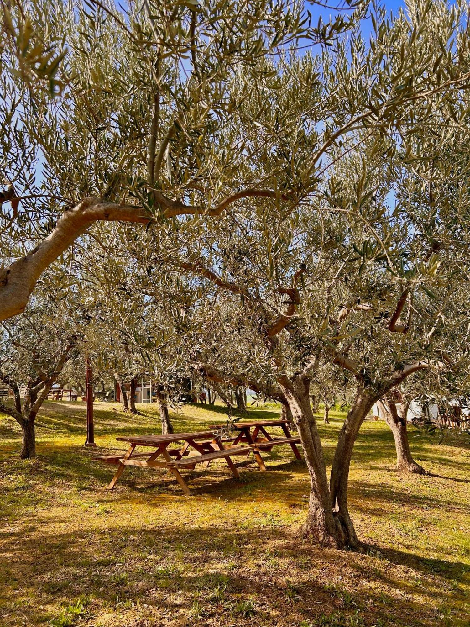 Oasi Macerina Βίλα Alanno Εξωτερικό φωτογραφία