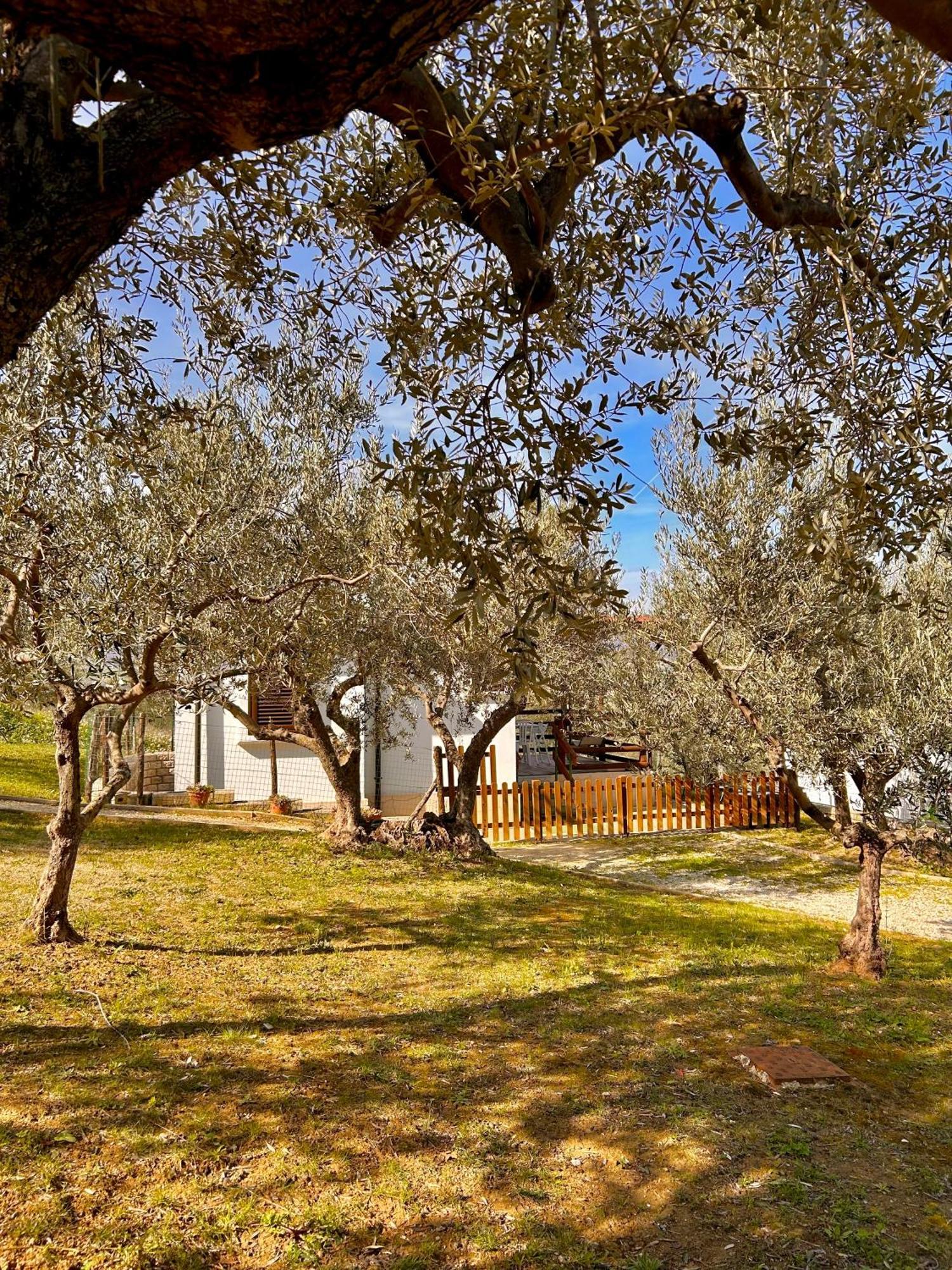 Oasi Macerina Βίλα Alanno Εξωτερικό φωτογραφία