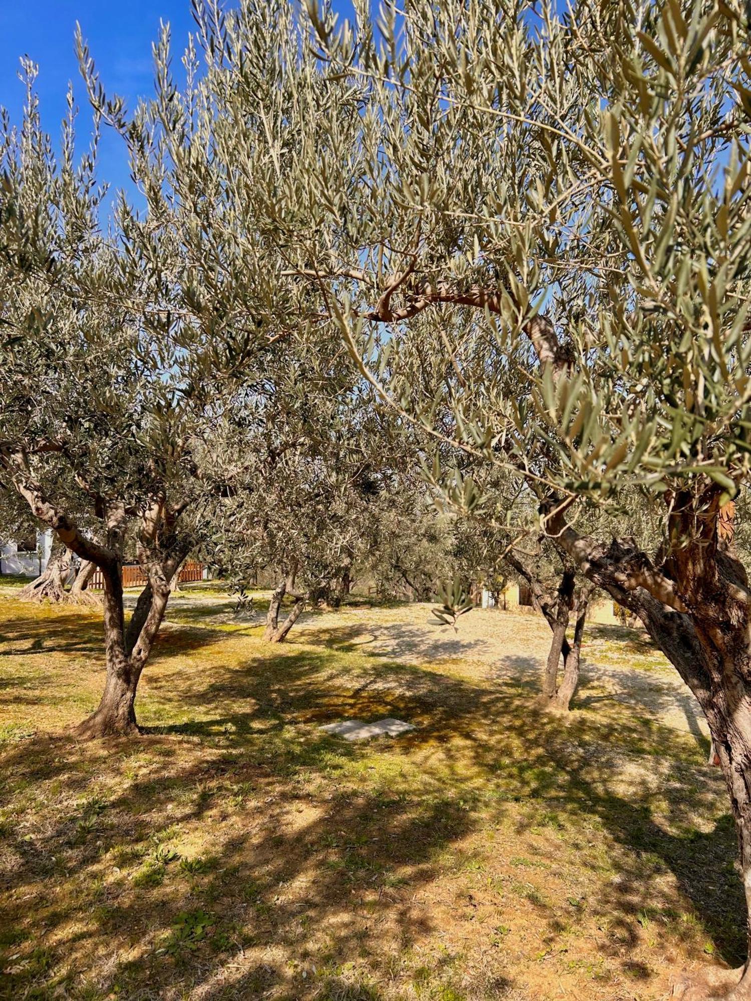 Oasi Macerina Βίλα Alanno Εξωτερικό φωτογραφία