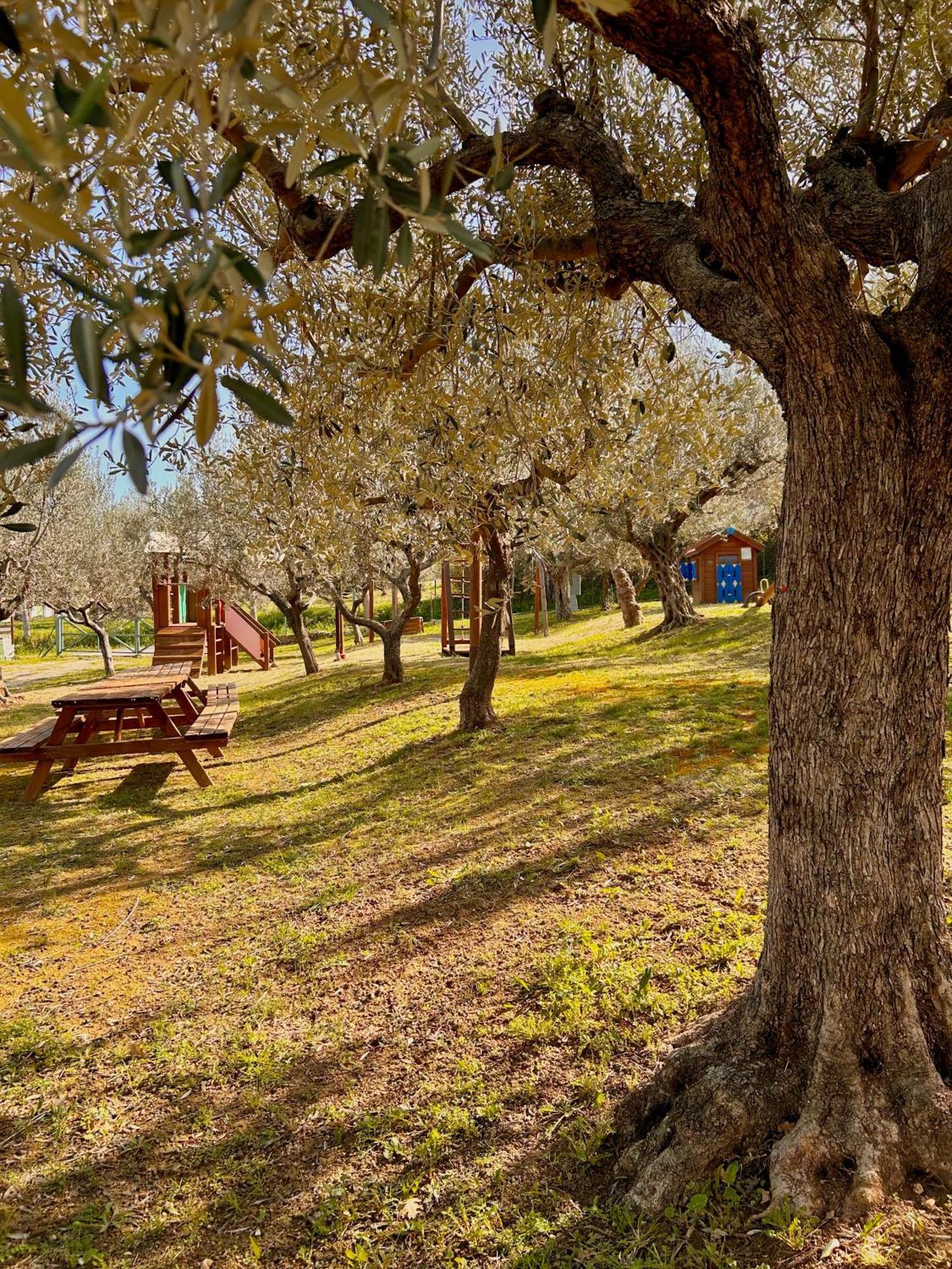 Oasi Macerina Βίλα Alanno Εξωτερικό φωτογραφία