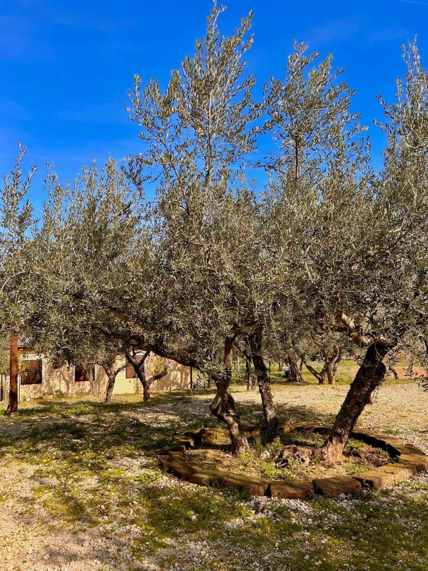 Oasi Macerina Βίλα Alanno Εξωτερικό φωτογραφία