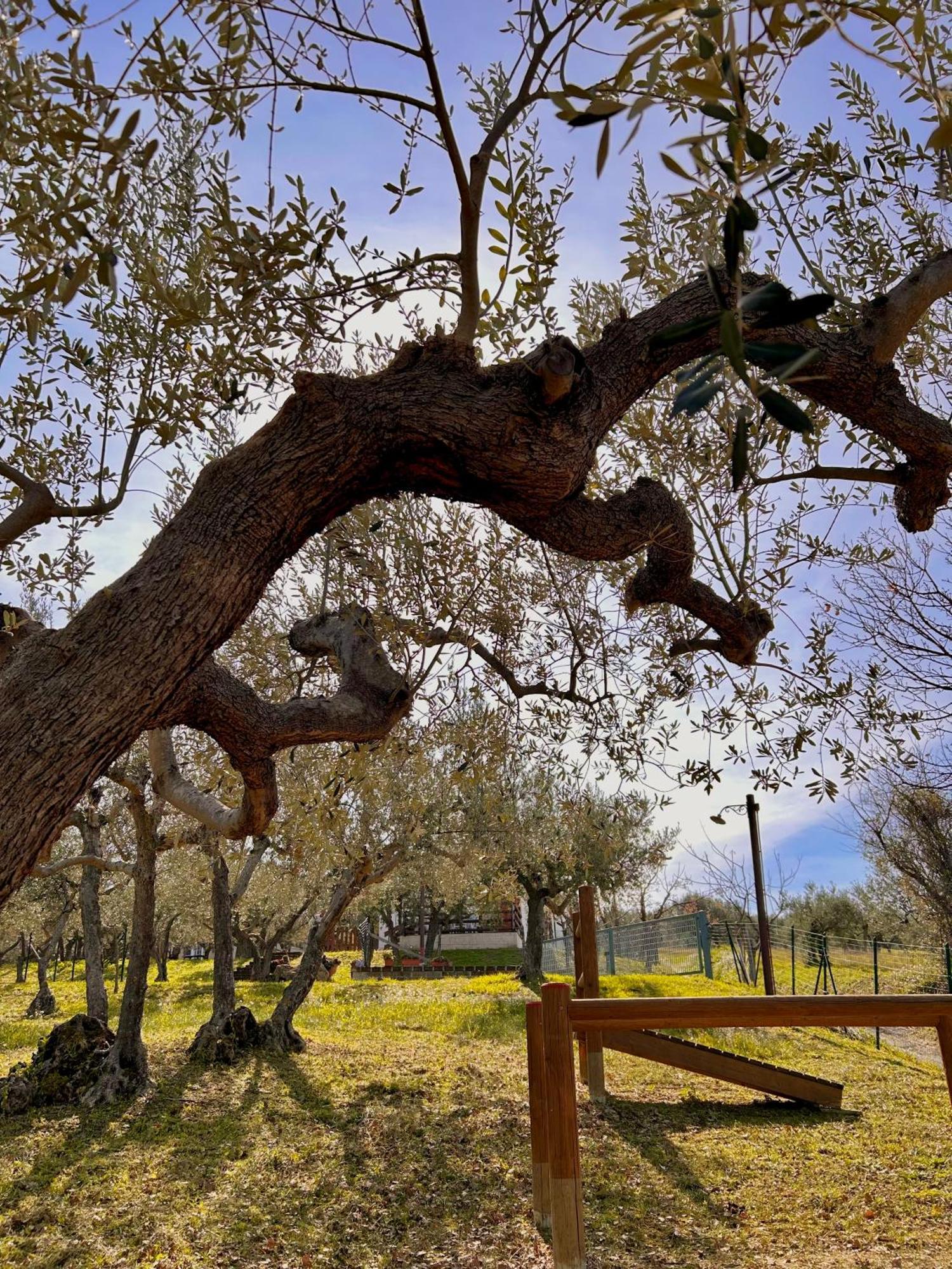 Oasi Macerina Βίλα Alanno Εξωτερικό φωτογραφία