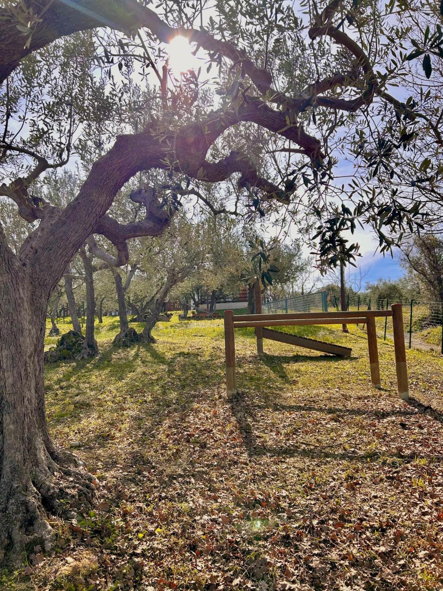Oasi Macerina Βίλα Alanno Εξωτερικό φωτογραφία