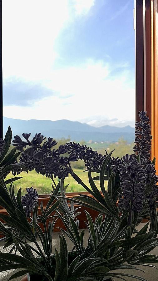 Oasi Macerina Βίλα Alanno Εξωτερικό φωτογραφία